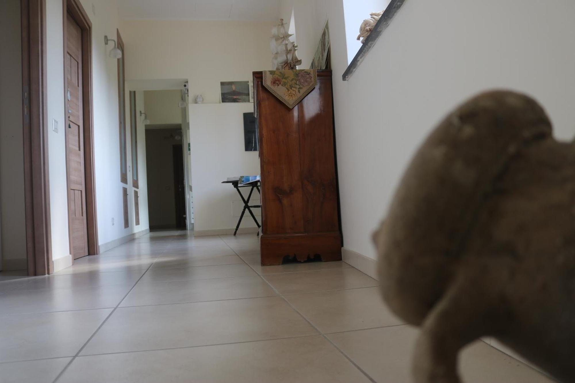 Willa Palazzo Rosso Riposto Zewnętrze zdjęcie